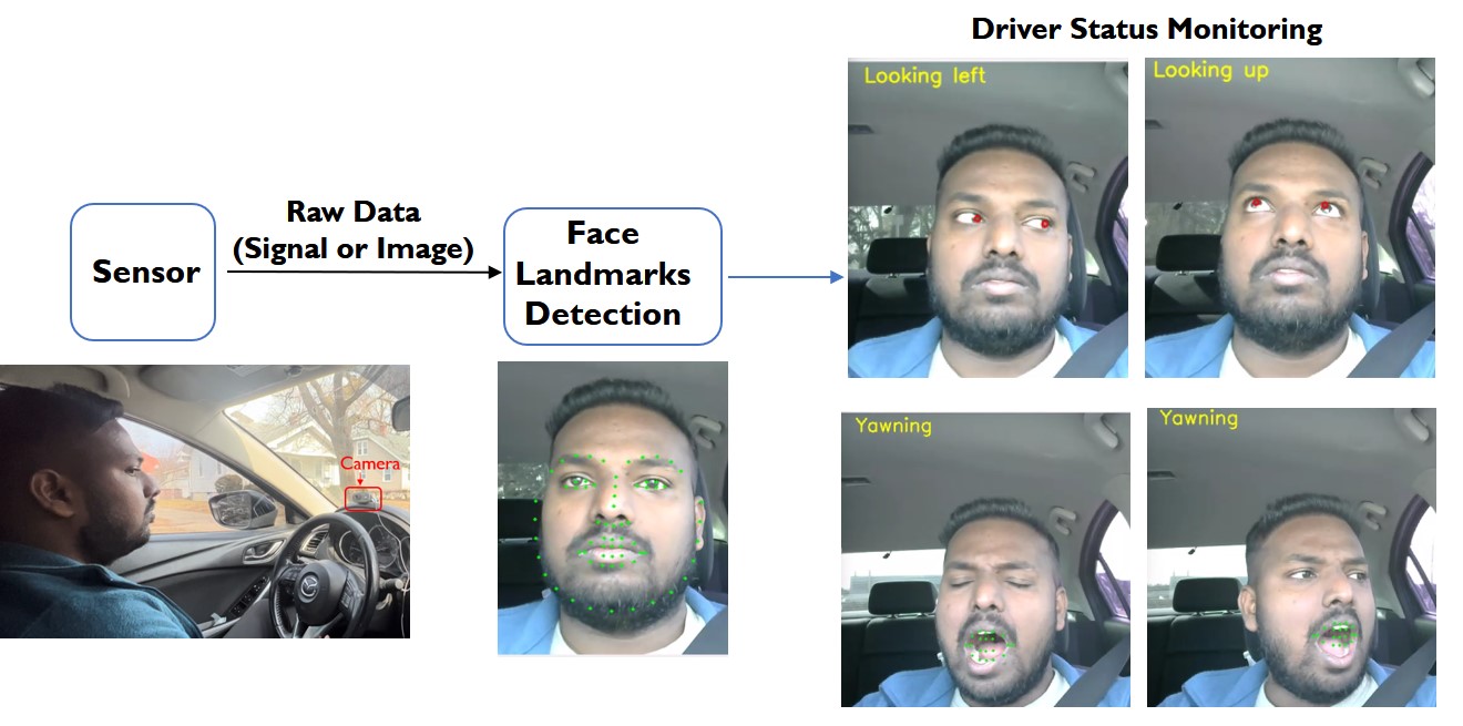 Driver status monitoring