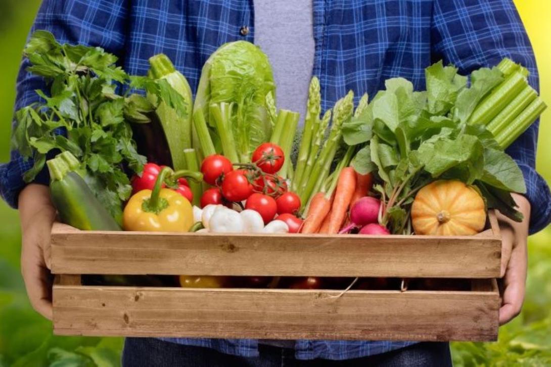 A person holding a wooden tray of mixed fresh vegetables